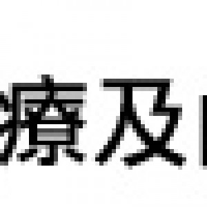 BVLogo3g
