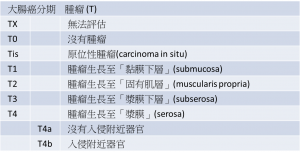 腸癌 - 腫瘤 (T)